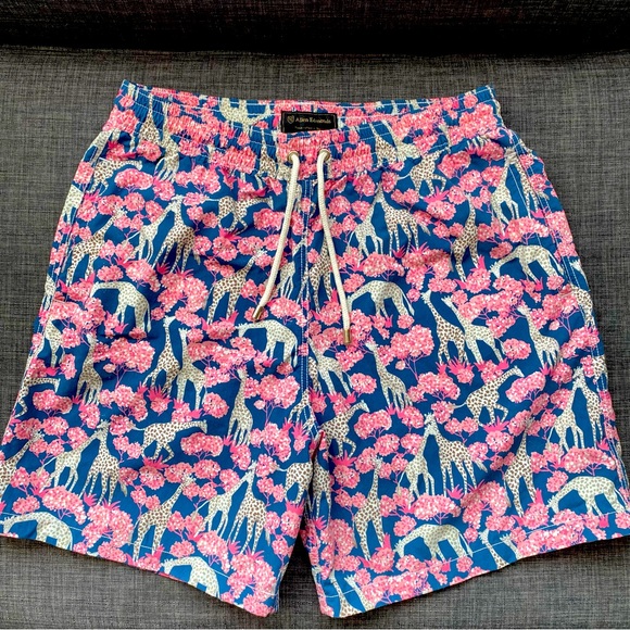 Allen Edmonds Mens Stretch Tie Waist Swim Trunks - Picture 1 of 5